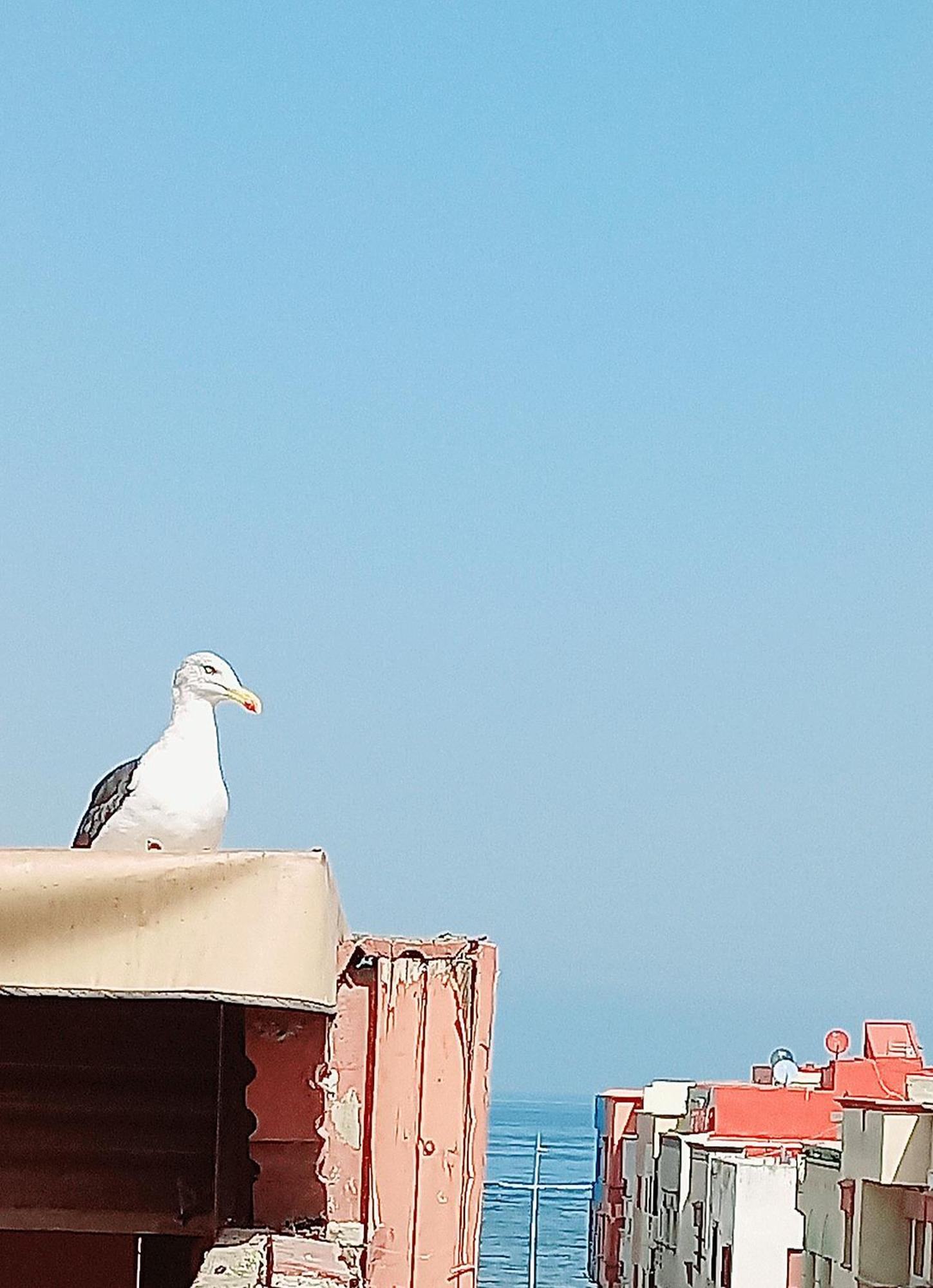 Appartement Vintage à Provincia di El Jadida Esterno foto